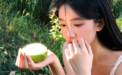 忘忧草最新中文字幕大全